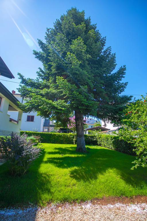 Apartment Pinia