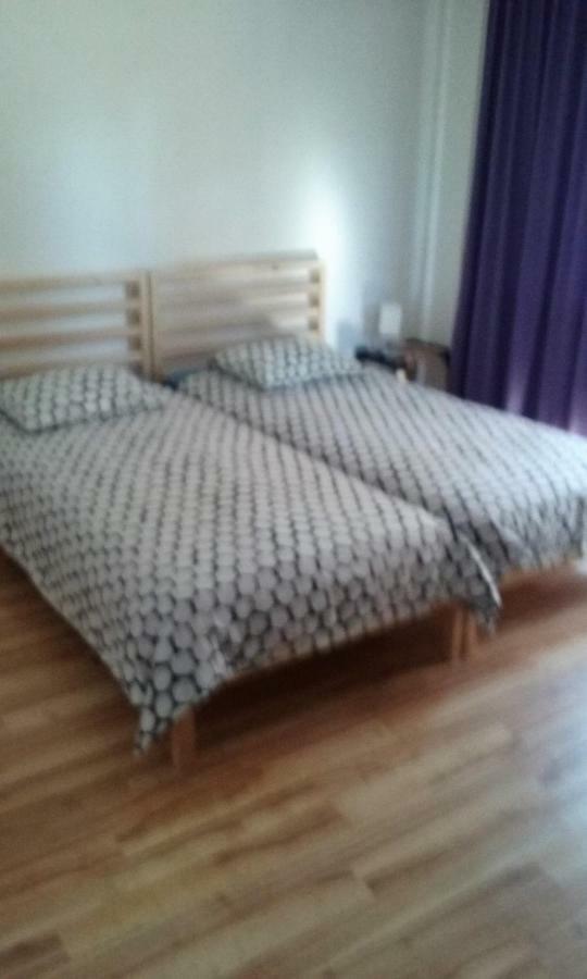 Pinia Apartment